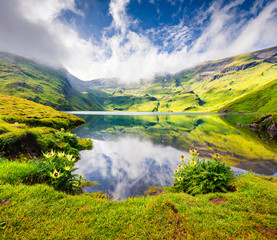 Naklejka premium Picturesque summer view on Bachalpsee lake. Green morning scene in the Swiss Bernese Alps, Grindelwald village location, Switzerland, Europe. Beauty of nature concept background.