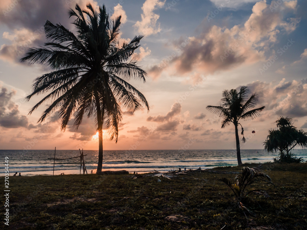Wall mural palm on beach at sunset