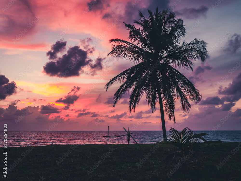 Wall mural palm on beach at sunset