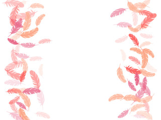 Detailed majestic feather on white design.