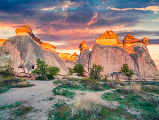 Fantastic Fungous Forms Sandstone The