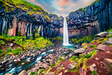 Splendid morning view of famous Svartifoss (Black Fall) Waterfall. Colorful summer scene in...