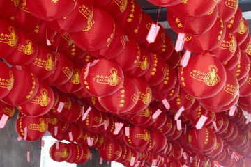 The red lanterns in Sydney are ready to welcome the Chines New Year