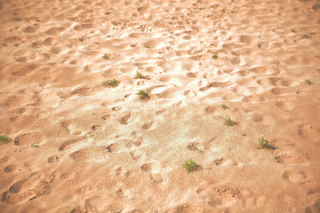 Closeup sand pattern of backgrounds