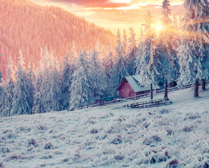 Impressive winter sunrise in Carpathian mountain village with snow covered fir trees. Colorful...