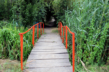 A small wooden bridge over a stream with high reeds and shrubs surrounding it.