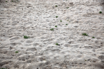 Closeup sand pattern of backgrounds