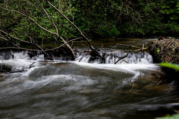 Mountain stream, River deep in mountain forest, Mountain creek cascade with fresh green moss on the stones