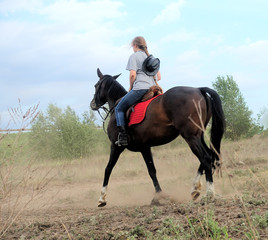Girl rider riding a horse in the field
