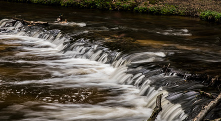 Mountain stream, River deep in mountain forest, Mountain creek cascade with fresh green moss on the stones