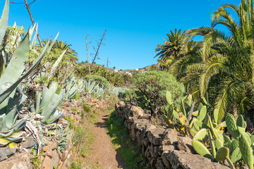 On the long distance trail from the village El Cercado down the Argaga ravine to the Valle Gran Rey on the canary island La Gomera