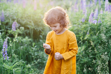 Adorable little girl wearing mustard linen dress with ladybug among lupine flowers