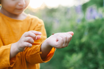 Adorable little girl wearing mustard linen dress with ladybug among lupine flowers