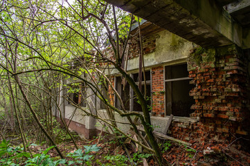 Abandoned building in the forest
