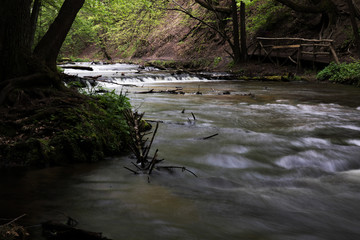 Fototapeta premium Mountain stream, River deep in mountain forest, Mountain creek cascade with fresh green moss on the stones