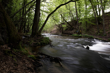 Obraz premium Mountain stream, River deep in mountain forest, Mountain creek cascade with fresh green moss on the stones