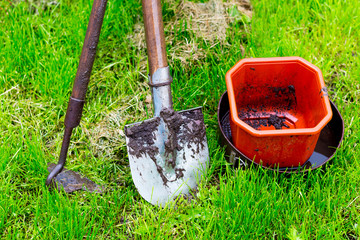 Agricultural tools (shovel, hack, bucket) on the background green grass after rain. Work on the bed_