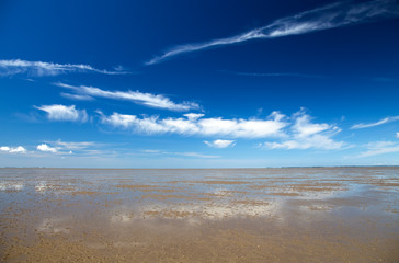 wadden sea