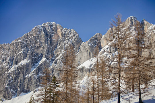 Rocky peaks of mountains in the snow and trees on against the blue sky in the Alps in Autria