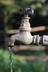 fountain in garden