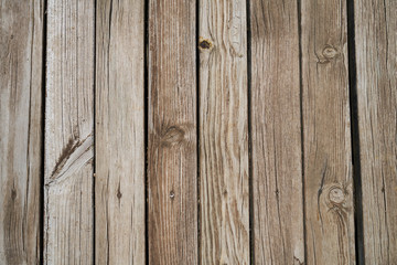 Fototapeta premium Wooden row