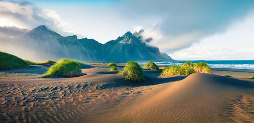 Impressive summer panorama of green dunes on the Stokksnes headland with Vestrahorn (Batman) mountain on background, southeastern Iceland, Europe. Beauty of nature concept background.