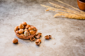 Hazelnuts in the shell in a small bowl. On a grey background.Copy space for text.