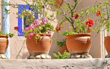 Fototapeta na wymiar Flowers in flowerpots on a mediterranean terrace