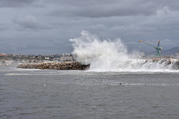 Storm on the seashore