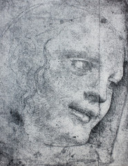 Head by Leonardo Da Vinci in a vintage book Leonard de Vinci, author A. Rosenberg, 1898, Leipzig