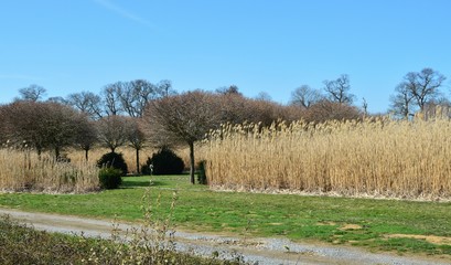 Gartenanlage