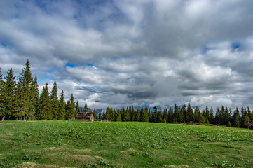 Cabin in a clearing in the mountains