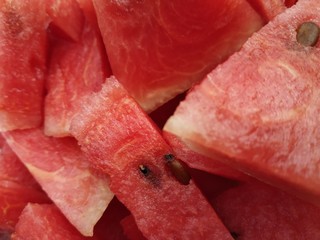 closeup shot of watermelon slice 