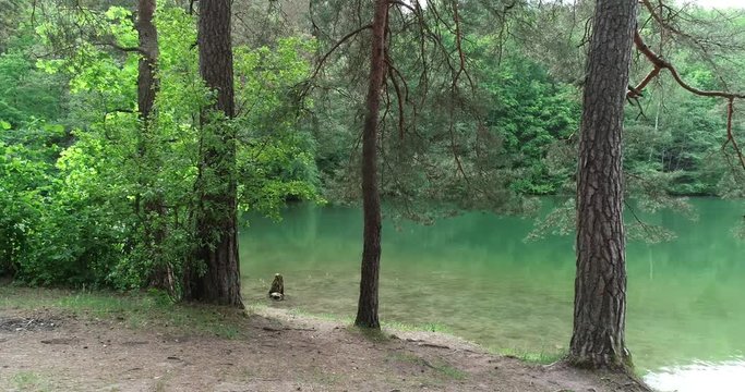 In the middle of the forest I found a green lake