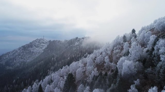 white snowy trees mountain rise cloudy aerial. Foggy mount forest with ice frost covered trees in Winter drone flight establisher.