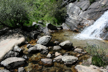 A pond receiving a waterfall