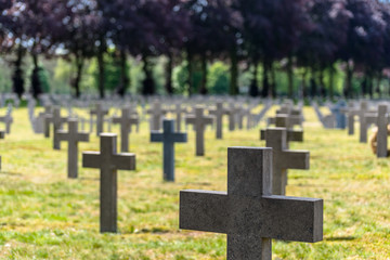 A lot of small, concrete crosses at the German war cemetery in the Netherlands.