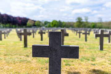 A lot of small, concrete crosses at the German war cemetery in the Netherlands.