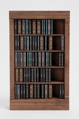 Realistic 3D Render of Bookshelf with Books