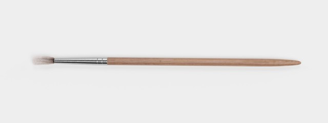 Realistic 3d Render of Brush
