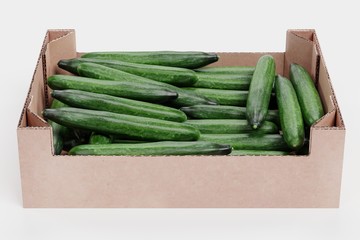 Realistic 3D Render of Cucumbers in Box