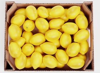 Realistic 3D Render of Lemons in Box