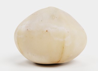 Realistic 3D Render of Macadamia Nut