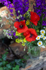 Bouquet of wilfd flowers, poppies, daisies, violets