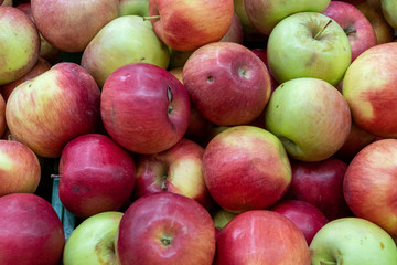 juicy red apples, close up