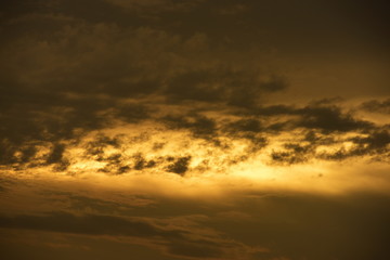 sun setting behind a dense forest area followed by mountains.	