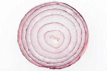 close up view of juicy organic fresh textured onion slice isolated on white
