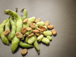 Closeup of dry and fresh broad beans seeds (Vicia faba) and  fresh picked raw broad beans in the pod on wooden table