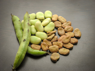 Closeup of dry and fresh broad beans seeds (Vicia faba) and  fresh picked raw broad beans in the pod on wooden table
