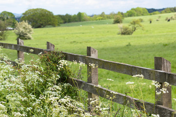 fence landscape